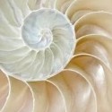 The Deepening: September 20–28, 2014