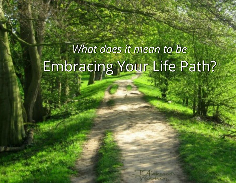 life path finder