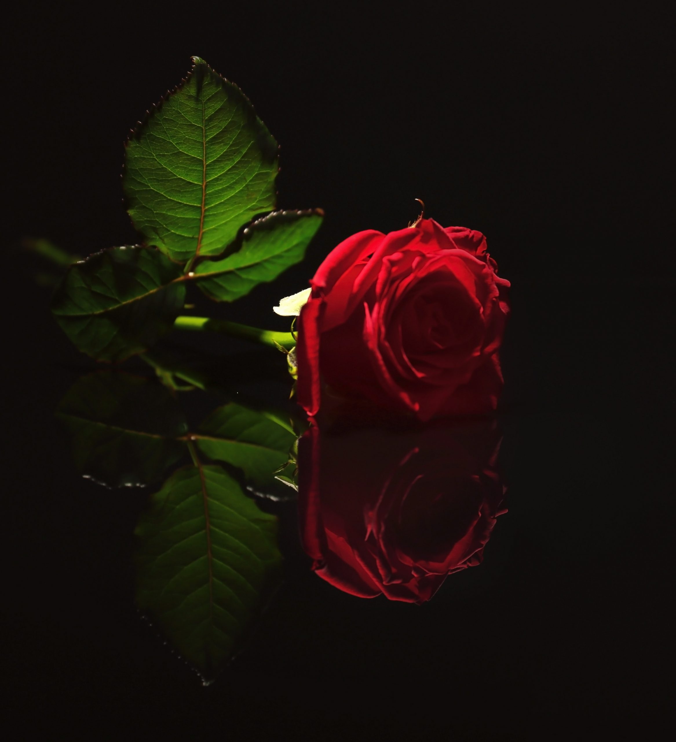 The Divine Feminine David Karchere