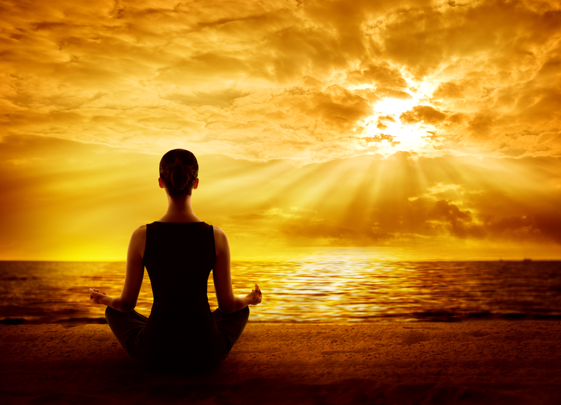 f6ae9ae3-a98c-4ca2-9a5b-d9dc95c6b770 What could be more important than to gain the knowledge that will free us to live a happy, fulfilling life?